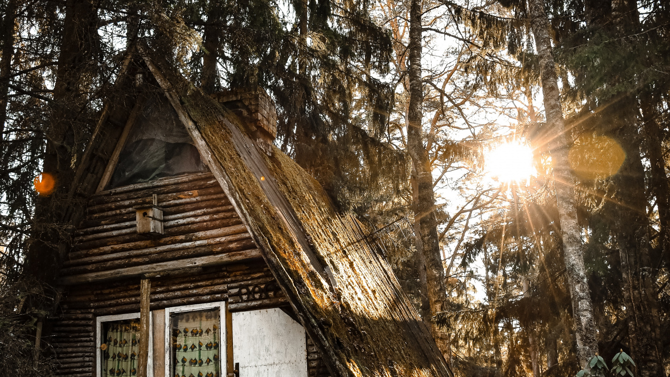 Gebäude, Baum, Haus, Startseite, Licht. Wallpaper in 1366x768 Resolution