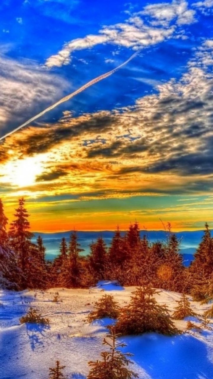 Grüne Bäume Auf Schneebedecktem Boden Unter Blauem Himmel Und Weißen Wolken Tagsüber. Wallpaper in 720x1280 Resolution