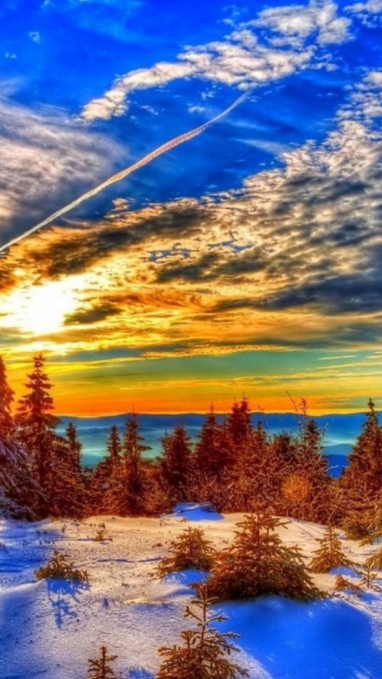 Grüne Bäume Auf Schneebedecktem Boden Unter Blauem Himmel Und Weißen Wolken Tagsüber. Wallpaper in 750x1334 Resolution