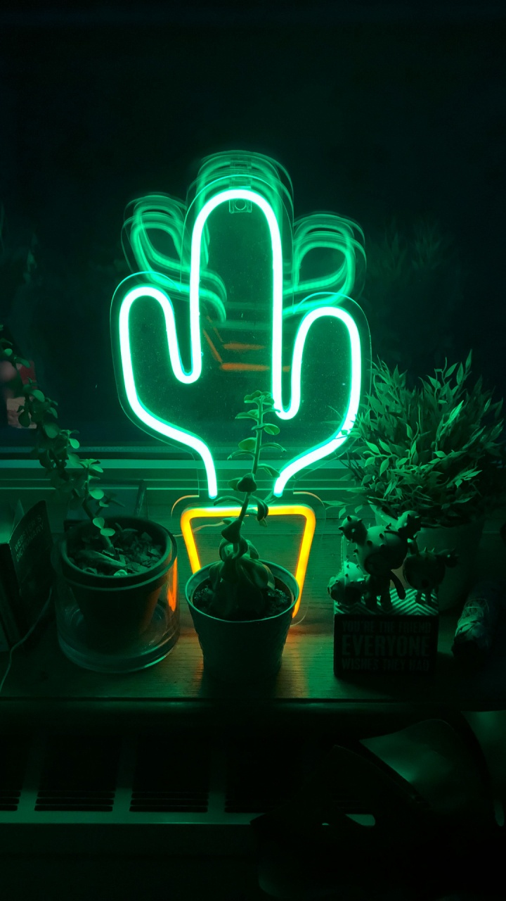 Neon Lighting, Plant, Visual Effect Lighting, Automotive Lighting, Electronic Signage. Wallpaper in 720x1280 Resolution