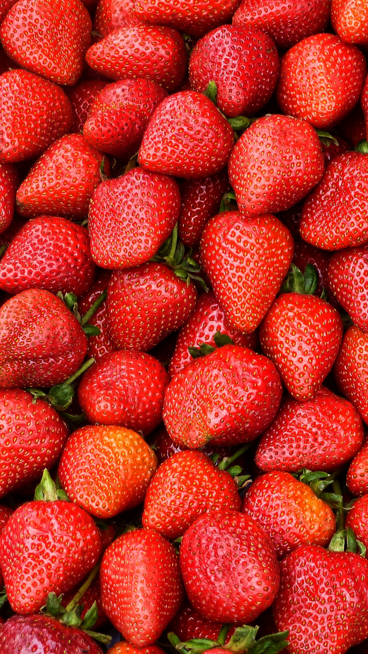 Fraises Rouges Sur Plaque en Céramique Blanche. Wallpaper in 750x1334 Resolution