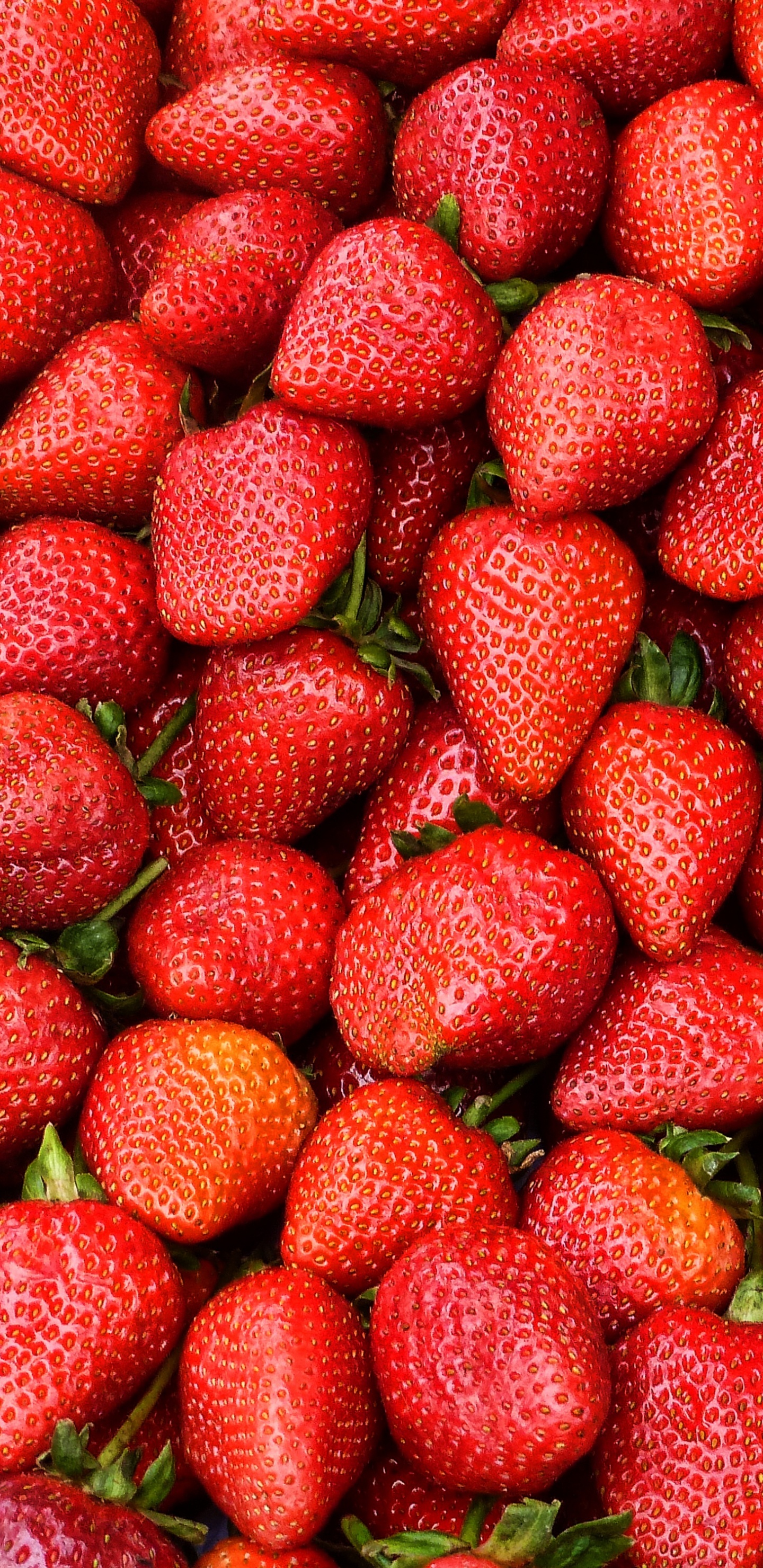 Fresas Rojas Sobre Placa de Cerámica Blanca. Wallpaper in 1440x2960 Resolution