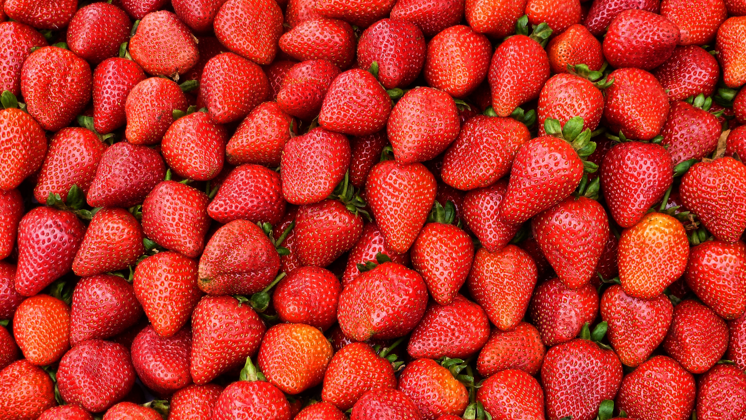 Red Strawberries on White Ceramic Plate. Wallpaper in 2560x1440 Resolution