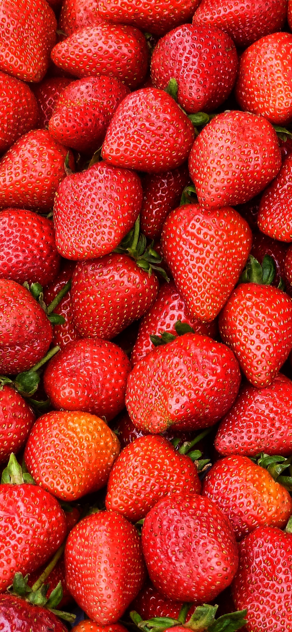 Rote Erdbeeren Auf Weißem Keramikteller. Wallpaper in 1125x2436 Resolution