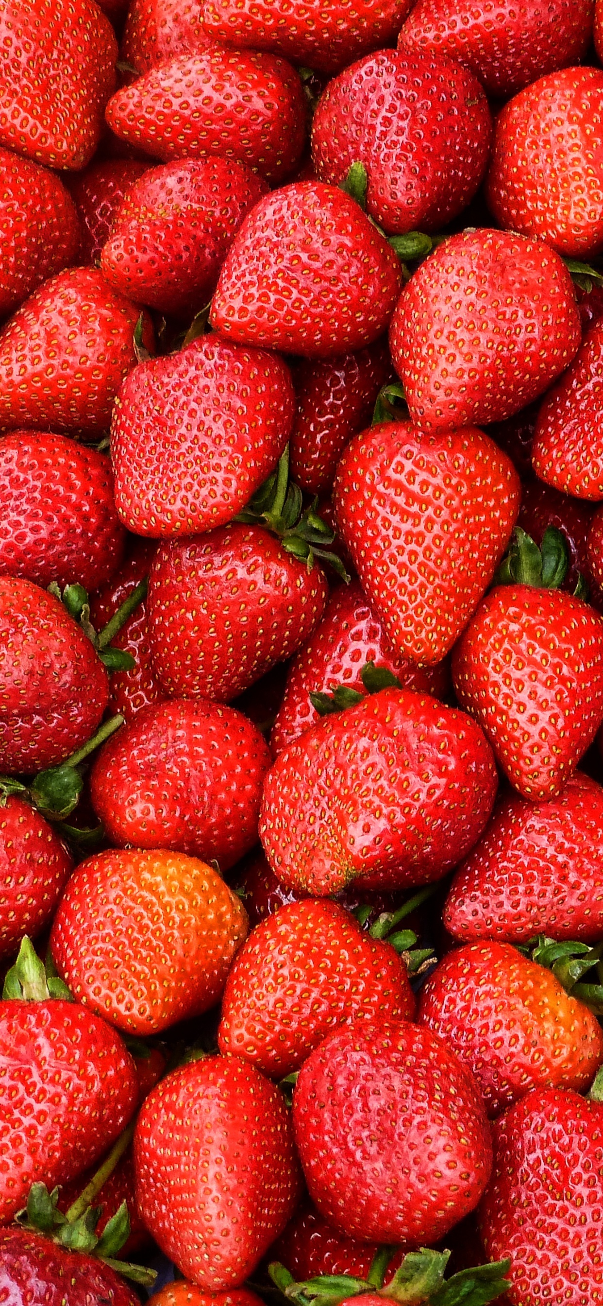 Rote Erdbeeren Auf Weißem Keramikteller. Wallpaper in 1242x2688 Resolution