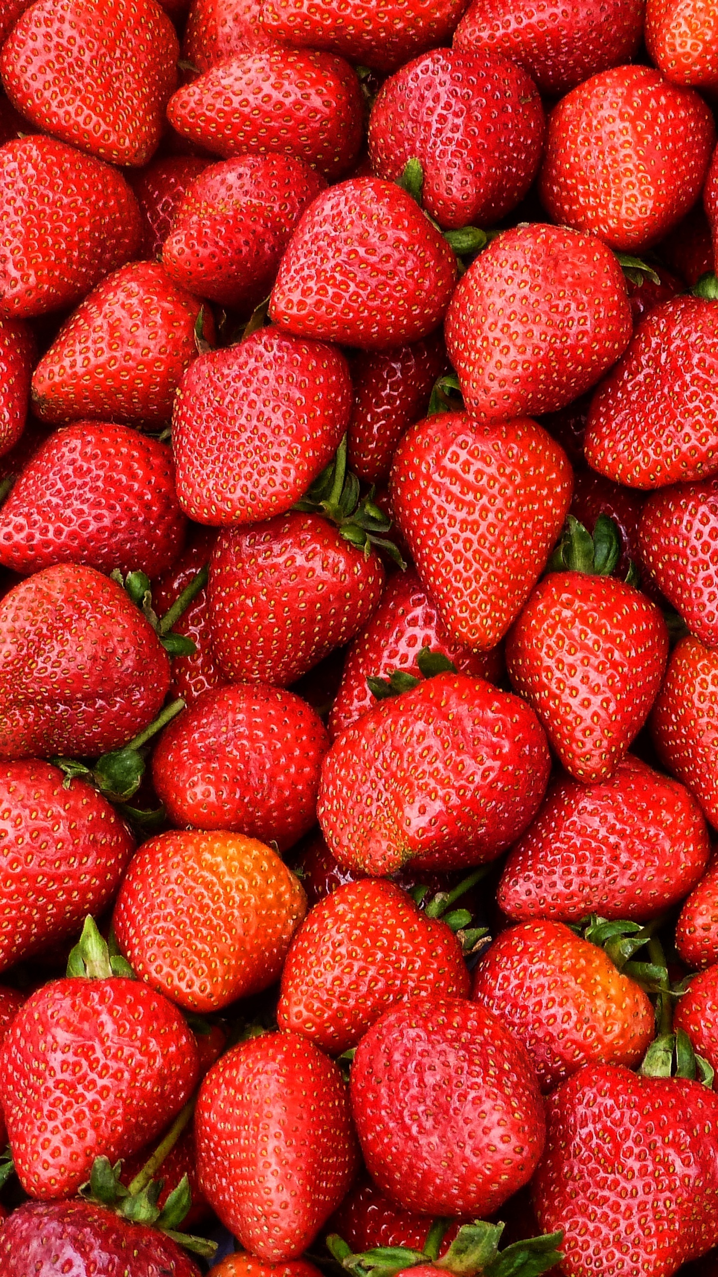 Rote Erdbeeren Auf Weißem Keramikteller. Wallpaper in 1440x2560 Resolution