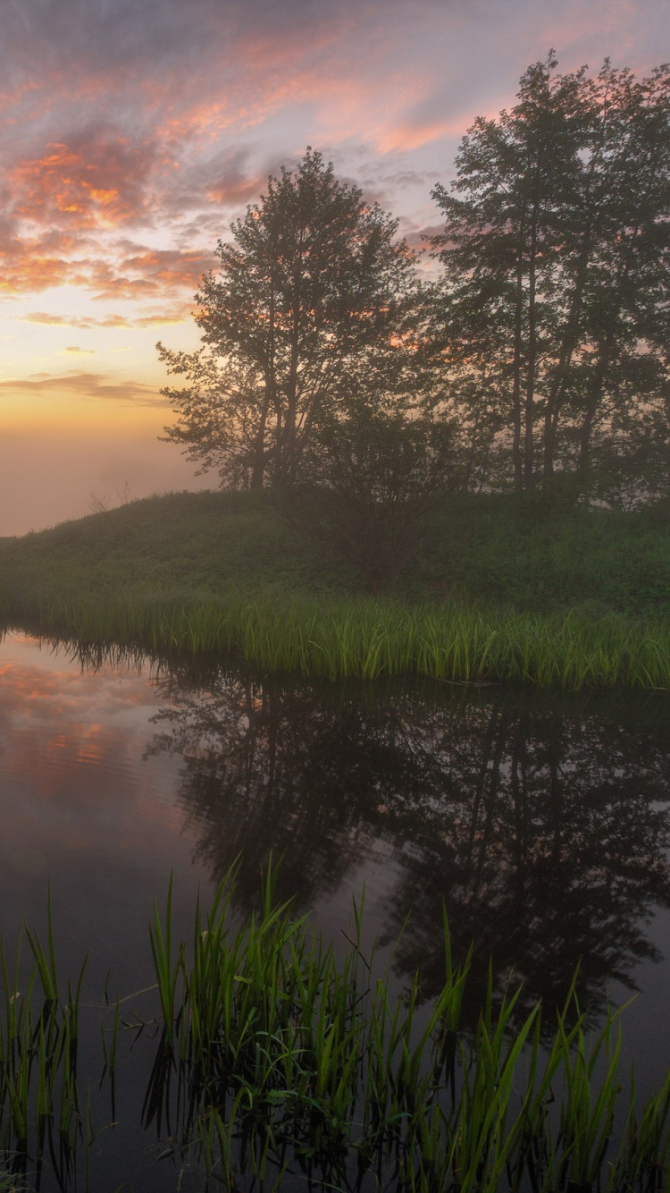 反射, 性质, 早上, 一天, 黎明 壁纸 750x1334 允许