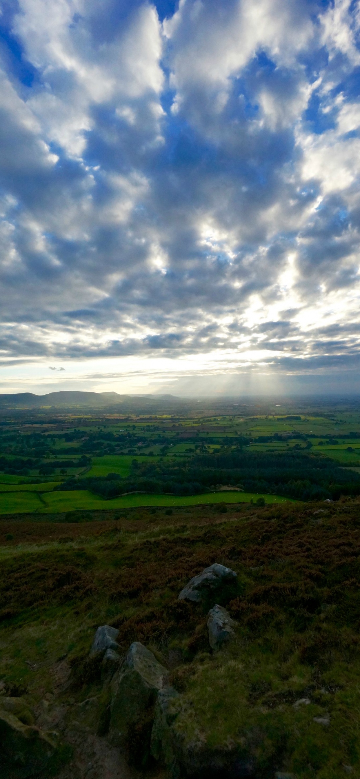 Champ D'herbe Verte Sous Ciel Bleu et Nuages Blancs Pendant la Journée. Wallpaper in 1242x2688 Resolution