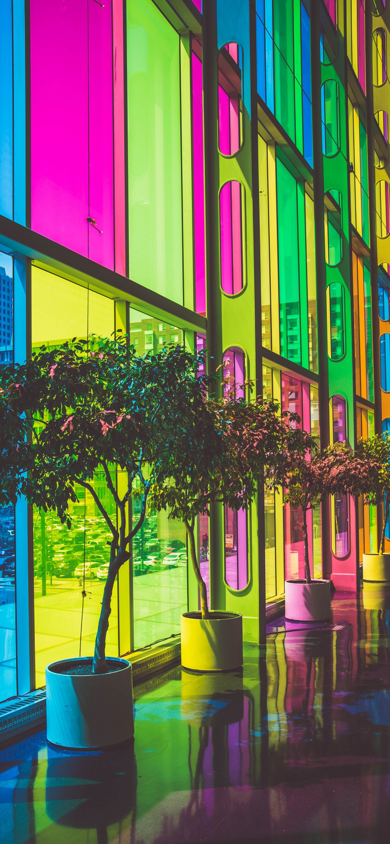 Aureus Solarpanel, Solarenergie, Erneuerbare Energie, Sonnenkollektor, Solarstrom. Wallpaper in 1242x2688 Resolution