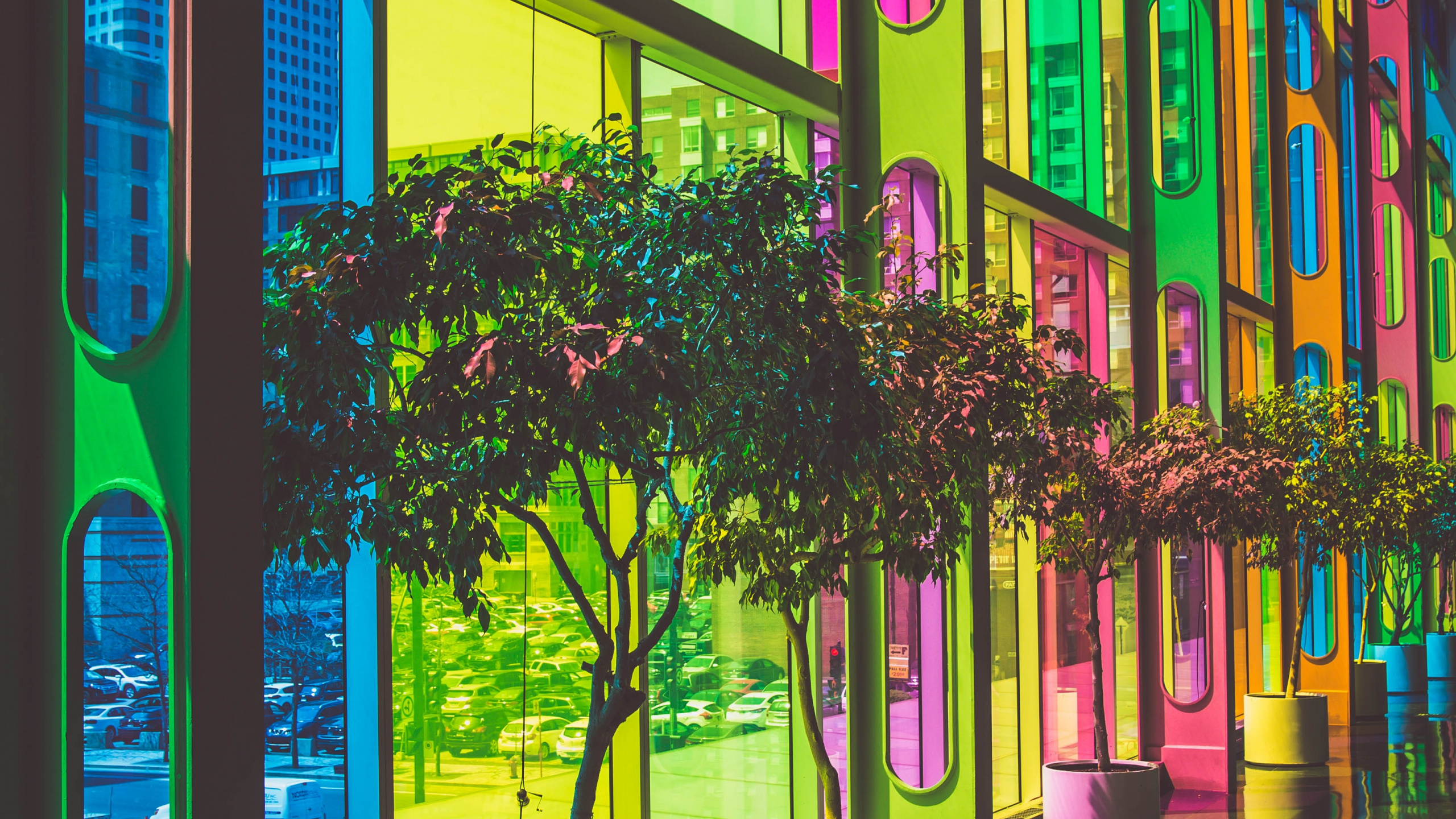 可再生能源, 能源, 阳光, 色彩, 光 壁纸 2560x1440 允许