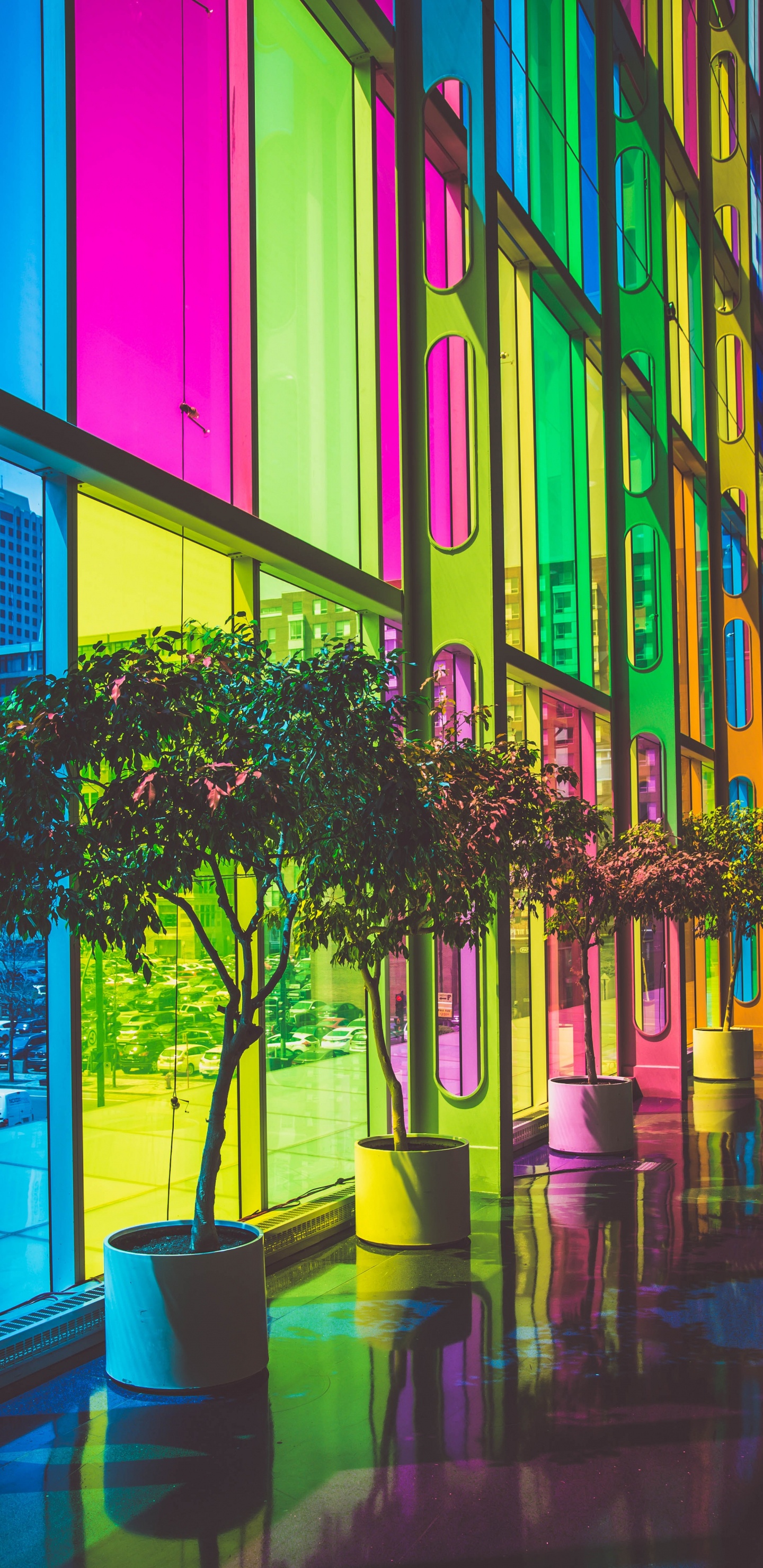 Panel Solar Aureus, Energía Solar, la Energía Renovable, Panel Solar, Energía. Wallpaper in 1440x2960 Resolution