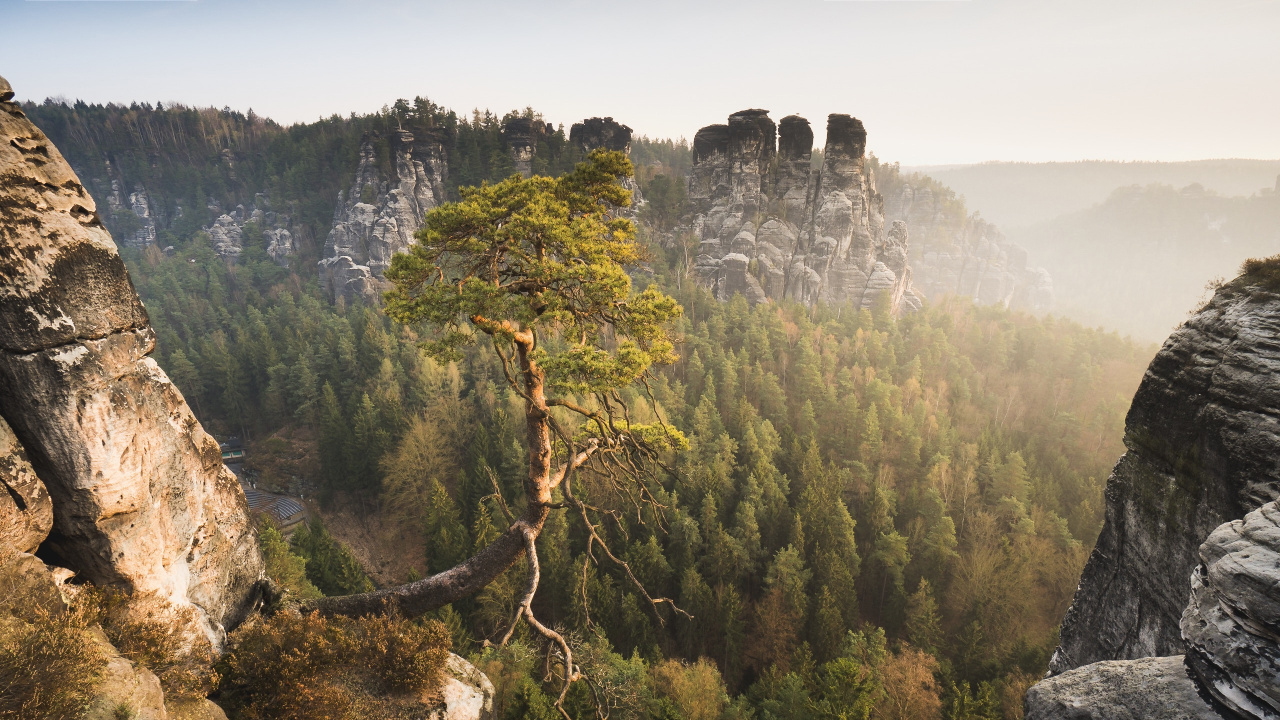 Green Trees on Mountain During Daytime. Wallpaper in 1280x720 Resolution