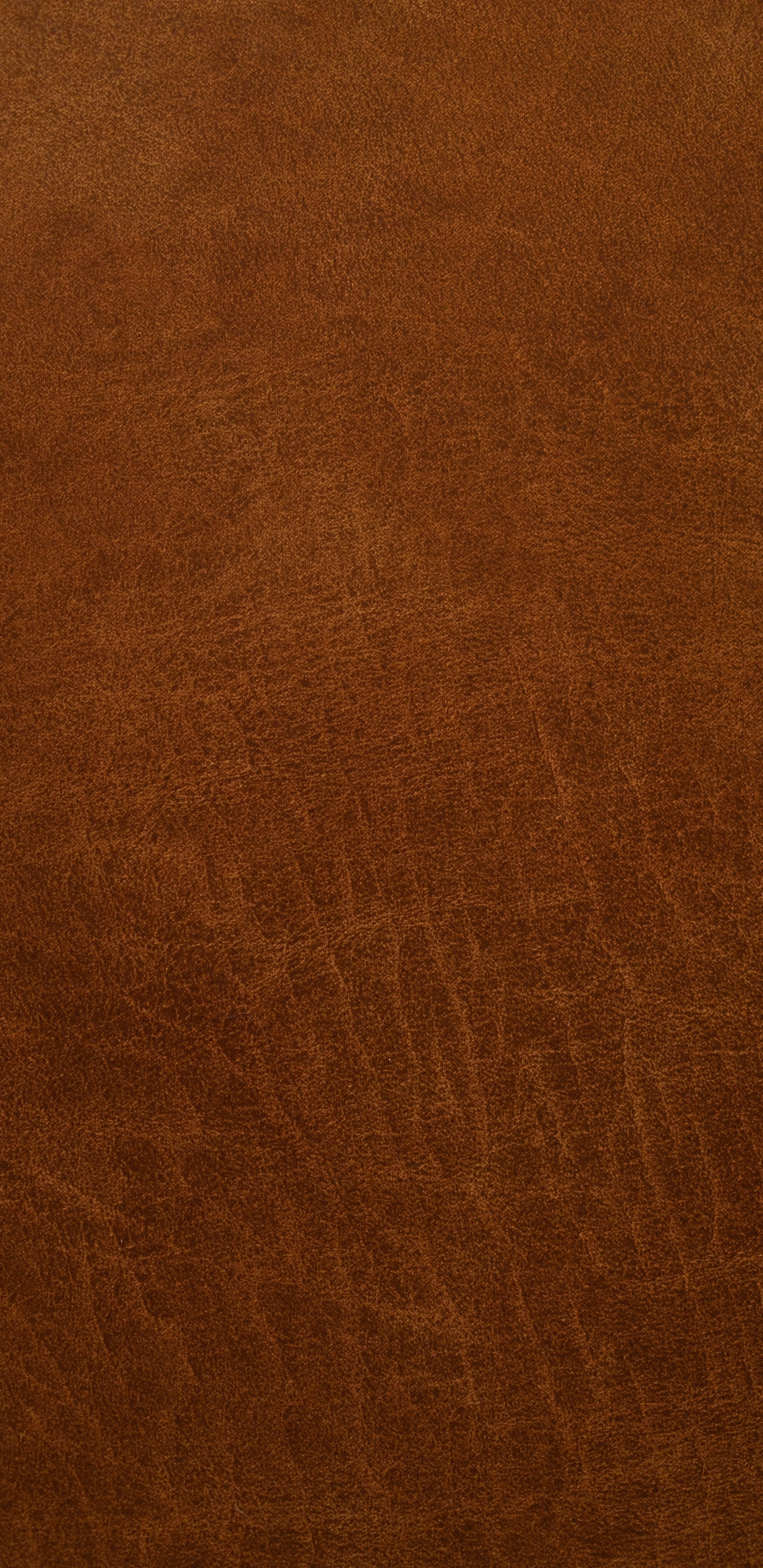 Cuir, Brown, Couleur Caramel, Contreplaqué, Teinture à Bois. Wallpaper in 1440x2960 Resolution