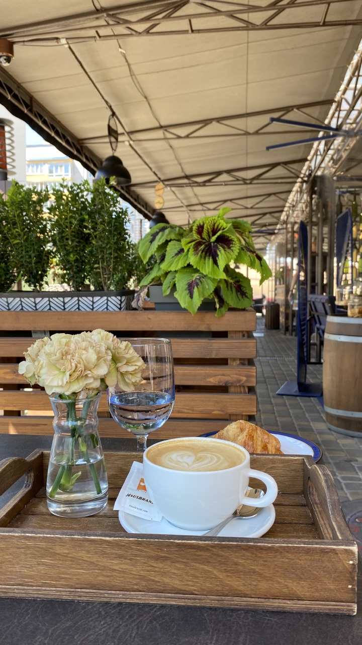 Tabla, Ciencia, Biología, Taza de Café, Bandejas de Servir. Wallpaper in 720x1280 Resolution