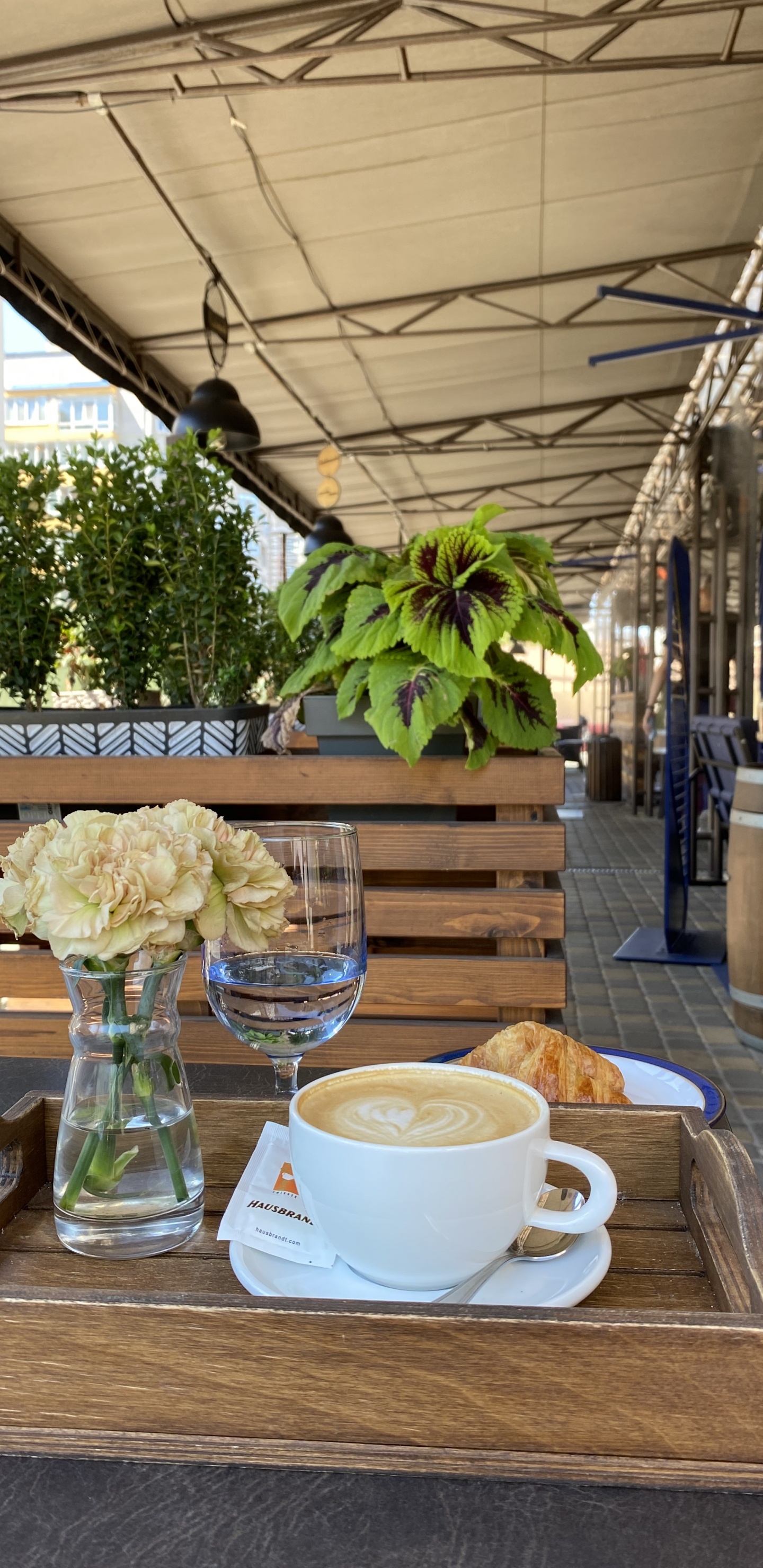 Table, Cafe, Science, Biology, Coffee Cup. Wallpaper in 1440x2960 Resolution