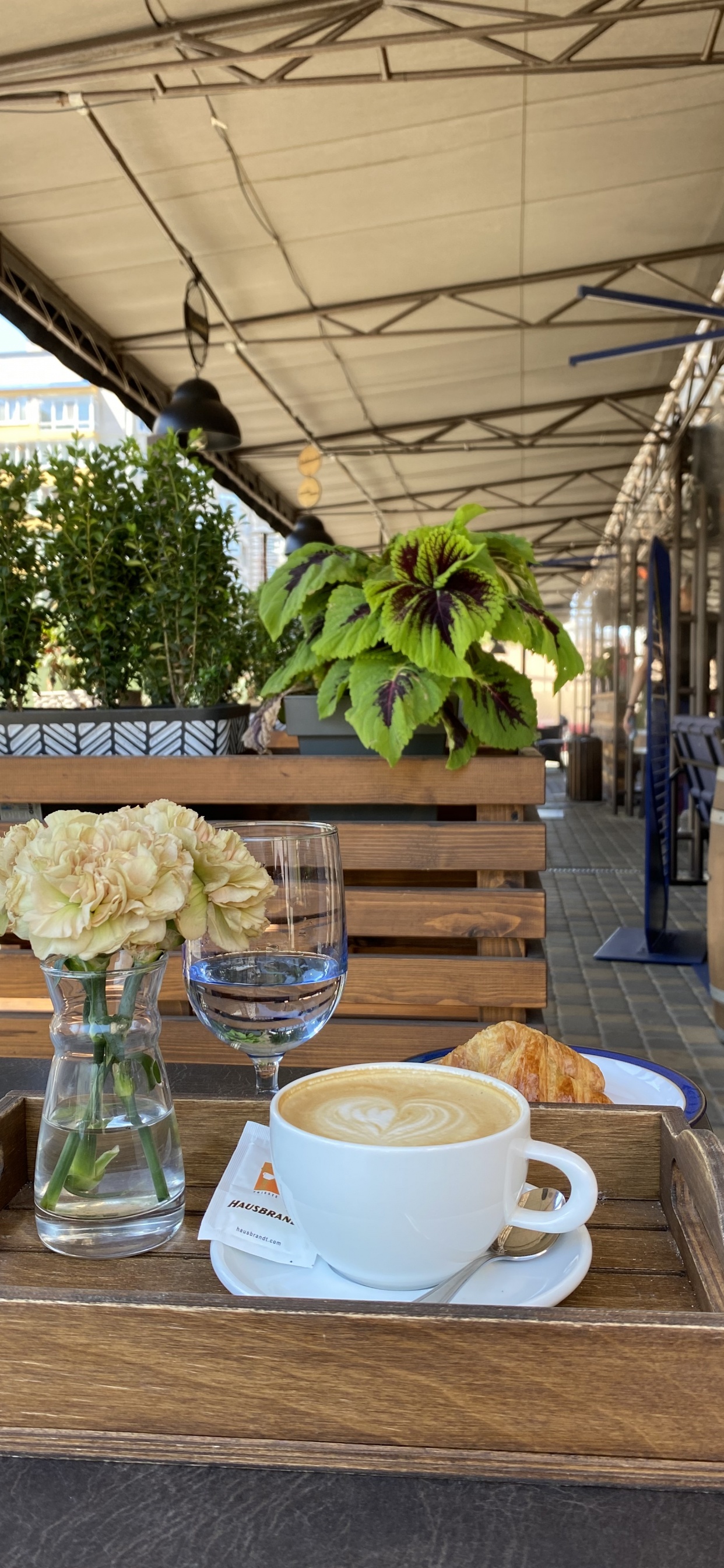 Table, Sciences, Biologie, Tasse à Café, Mesure. Wallpaper in 1242x2688 Resolution