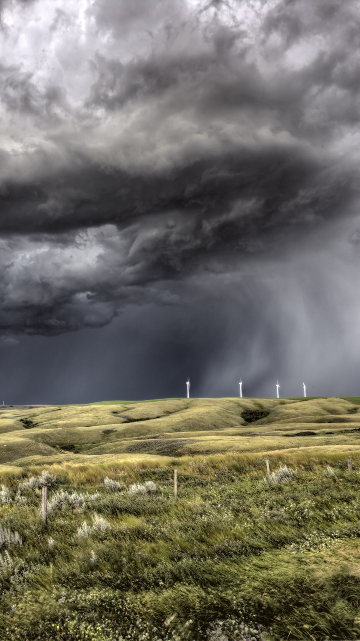 Green Grass Field Under Gray Clouds. Wallpaper in 720x1280 Resolution