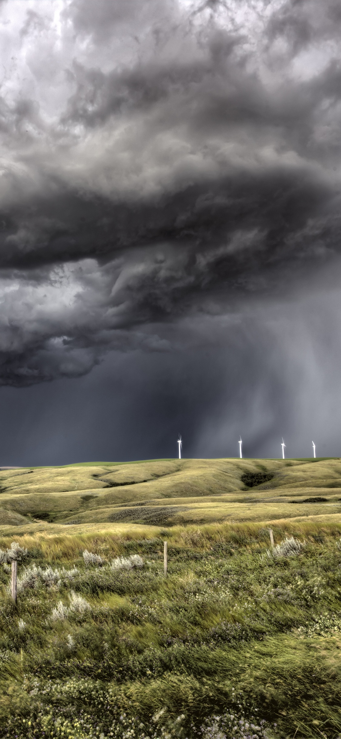 Champ D'herbe Verte Sous Les Nuages Gris. Wallpaper in 1125x2436 Resolution