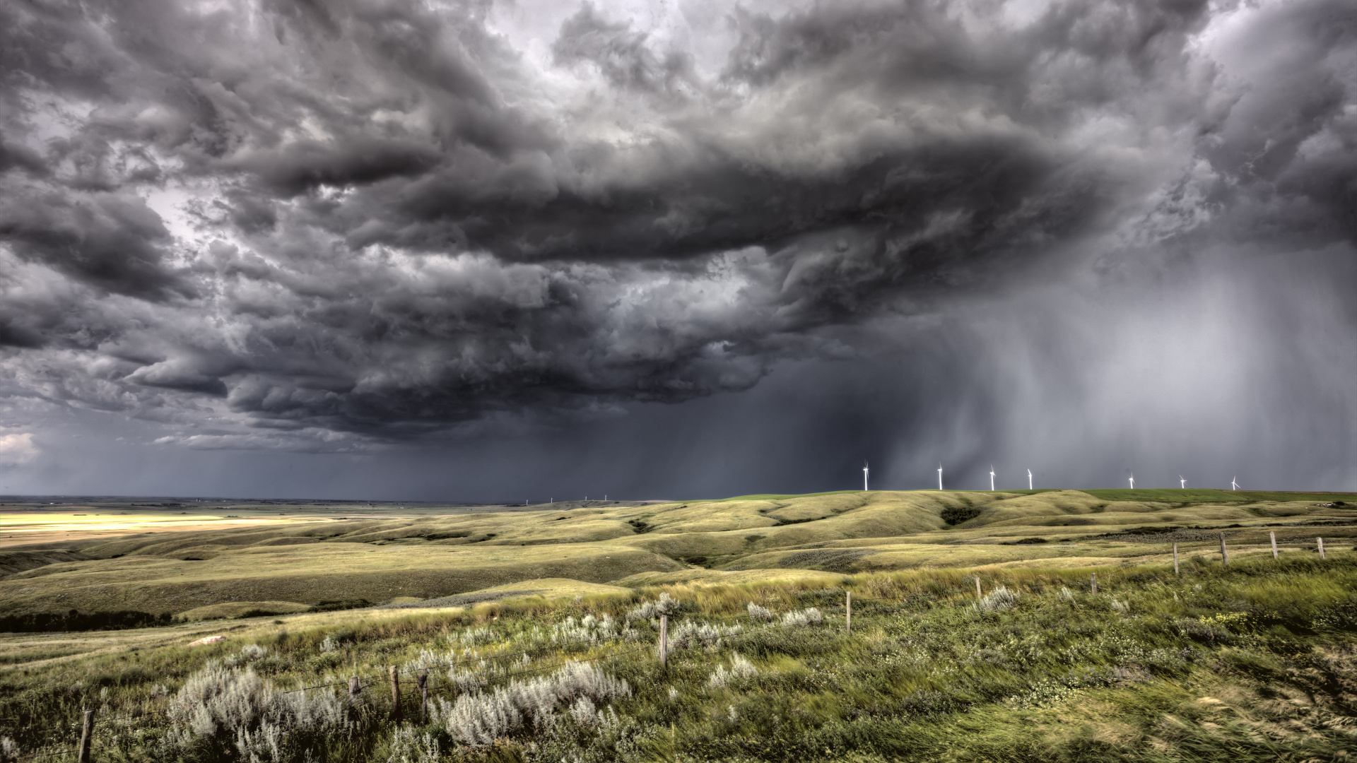 Champ D'herbe Verte Sous Les Nuages Gris. Wallpaper in 1920x1080 Resolution