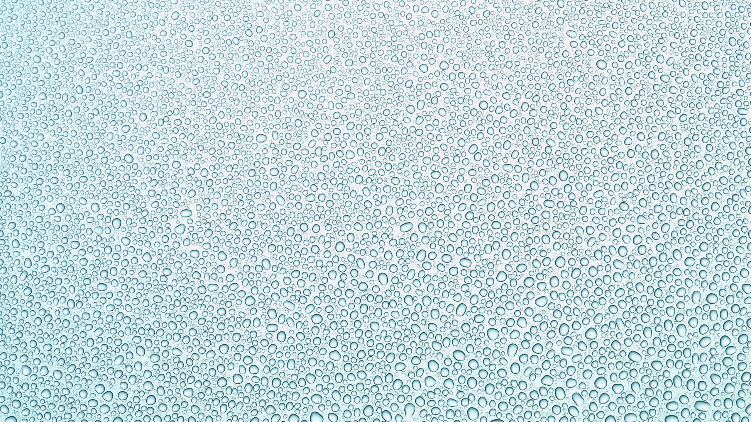 Textil de Lunares Blancos y Negros. Wallpaper in 2560x1440 Resolution