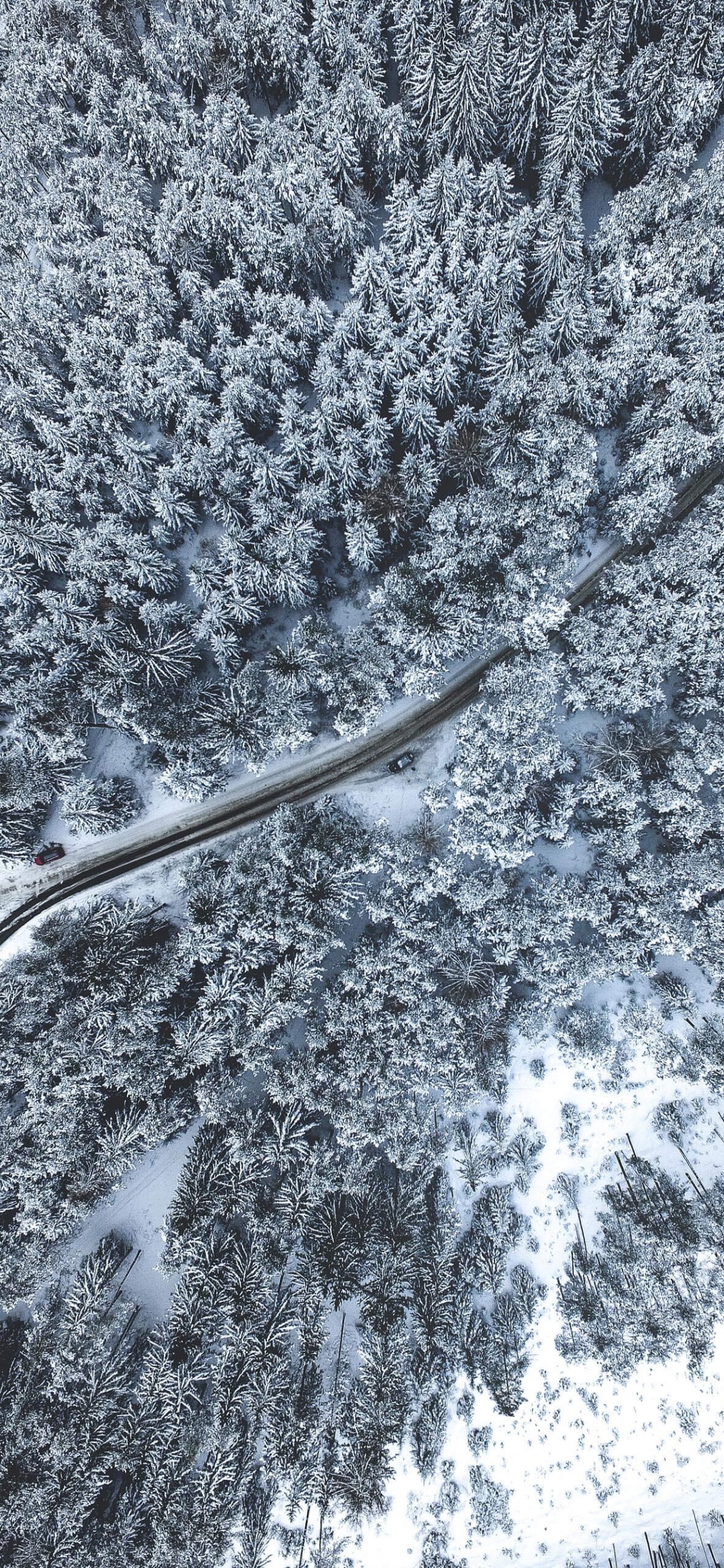 Neige, Chimie, Sciences, Rameau, Gris. Wallpaper in 1125x2436 Resolution