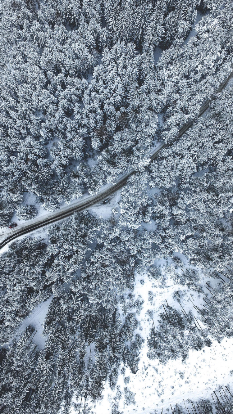 Snow, Chemistry, Science, Twig, Grey. Wallpaper in 750x1334 Resolution