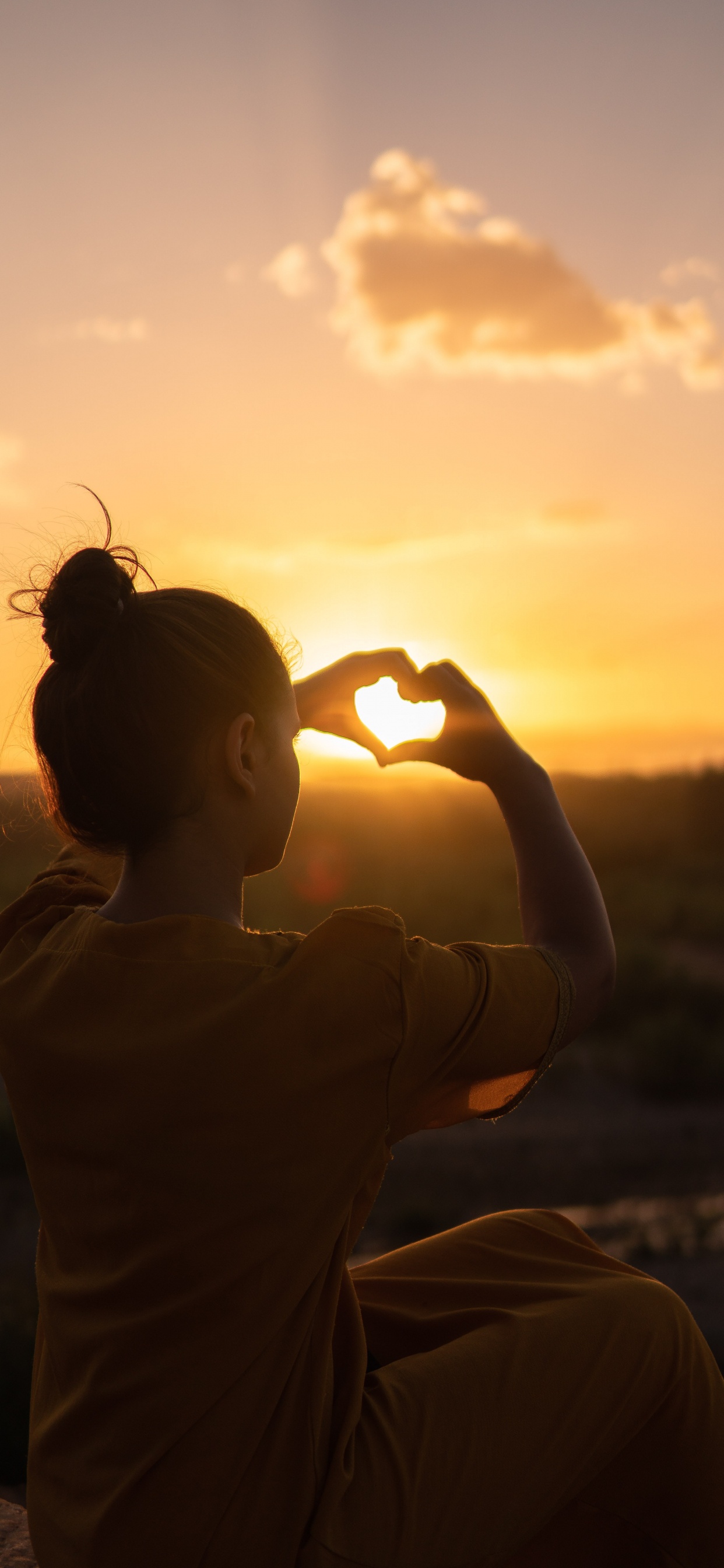 Sunset, Heart, Sun, Backlighting, Sunlight. Wallpaper in 1242x2688 Resolution