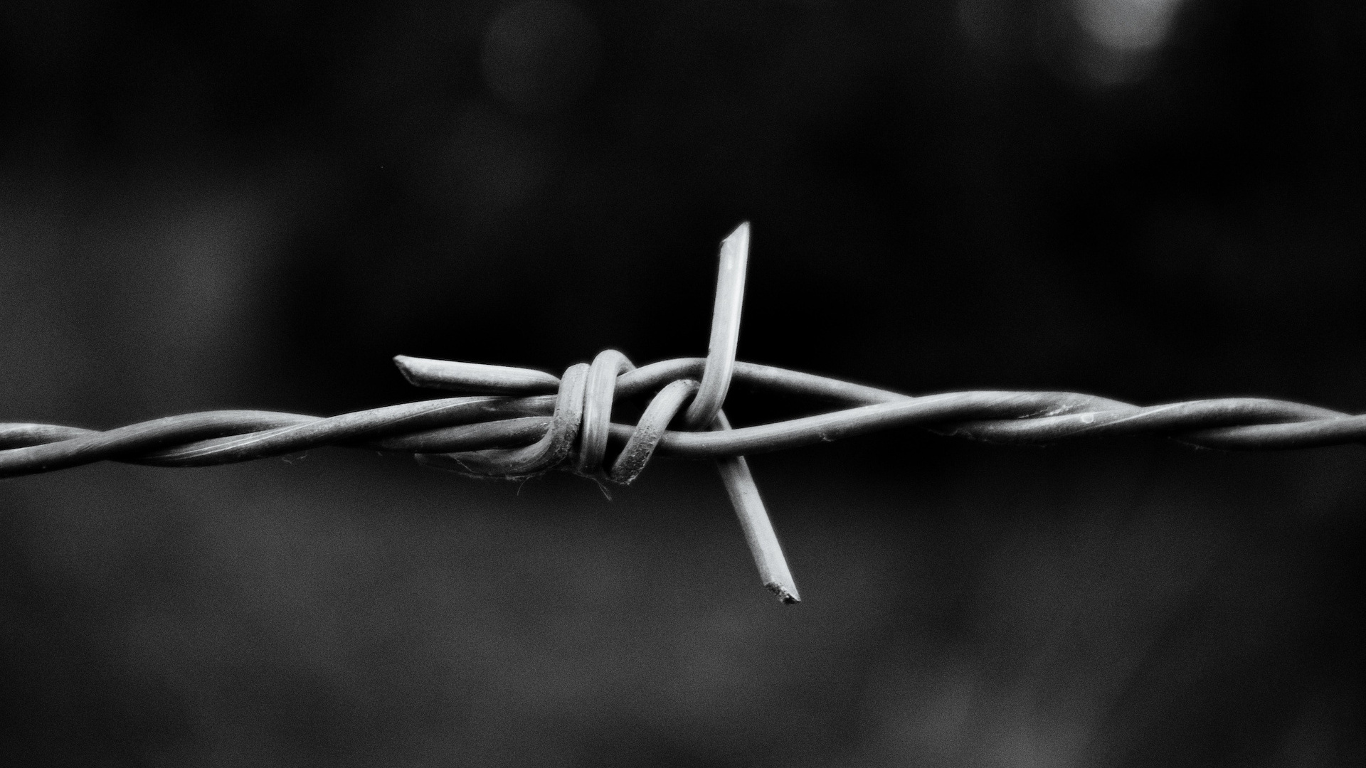 Gray Scale Photo of a Barb Wire. Wallpaper in 1920x1080 Resolution