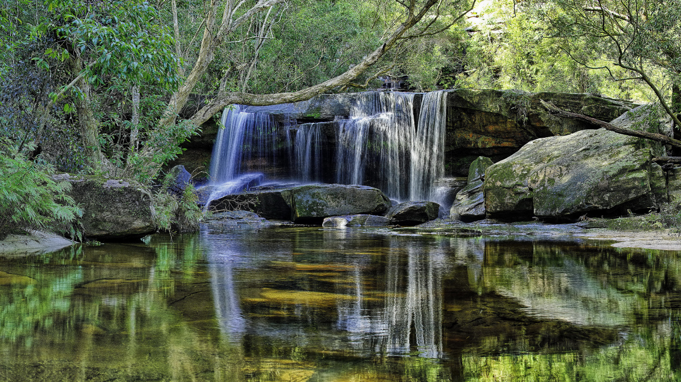 el Agua Cae en el Bosque. Wallpaper in 1366x768 Resolution