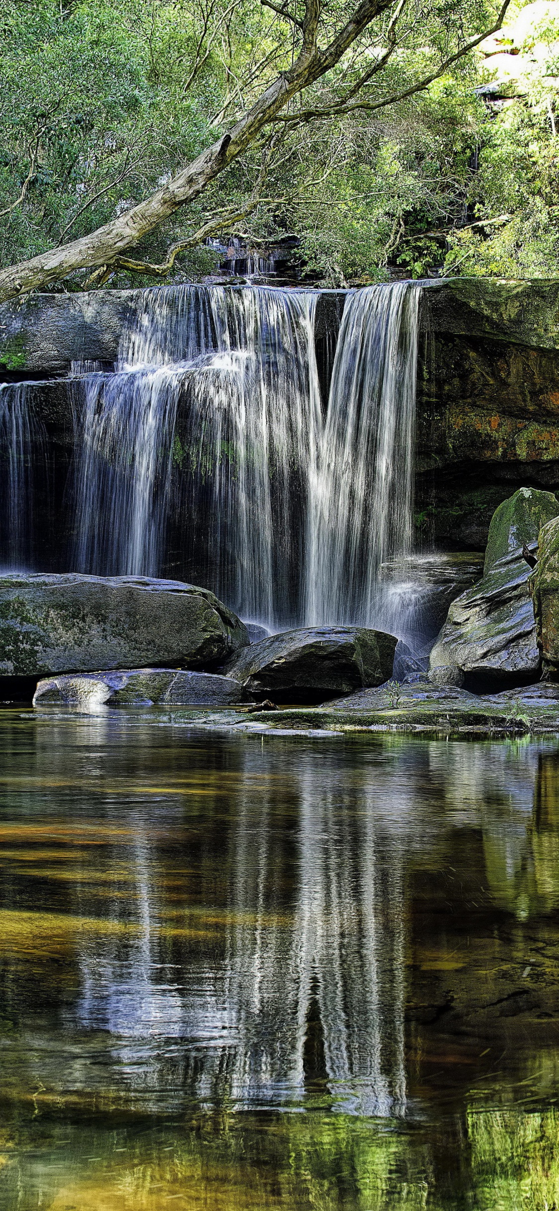 Water Falls in The Forest. Wallpaper in 1125x2436 Resolution
