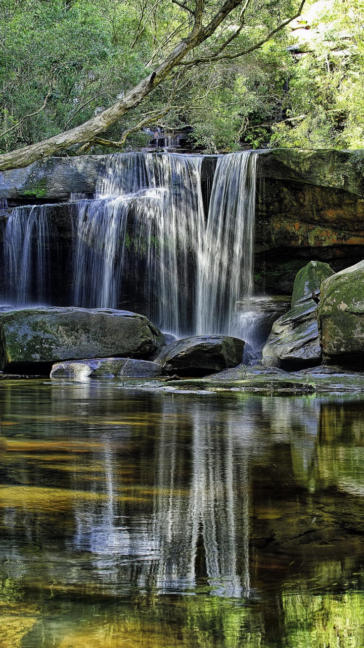 Wasser Fällt im Wald. Wallpaper in 720x1280 Resolution