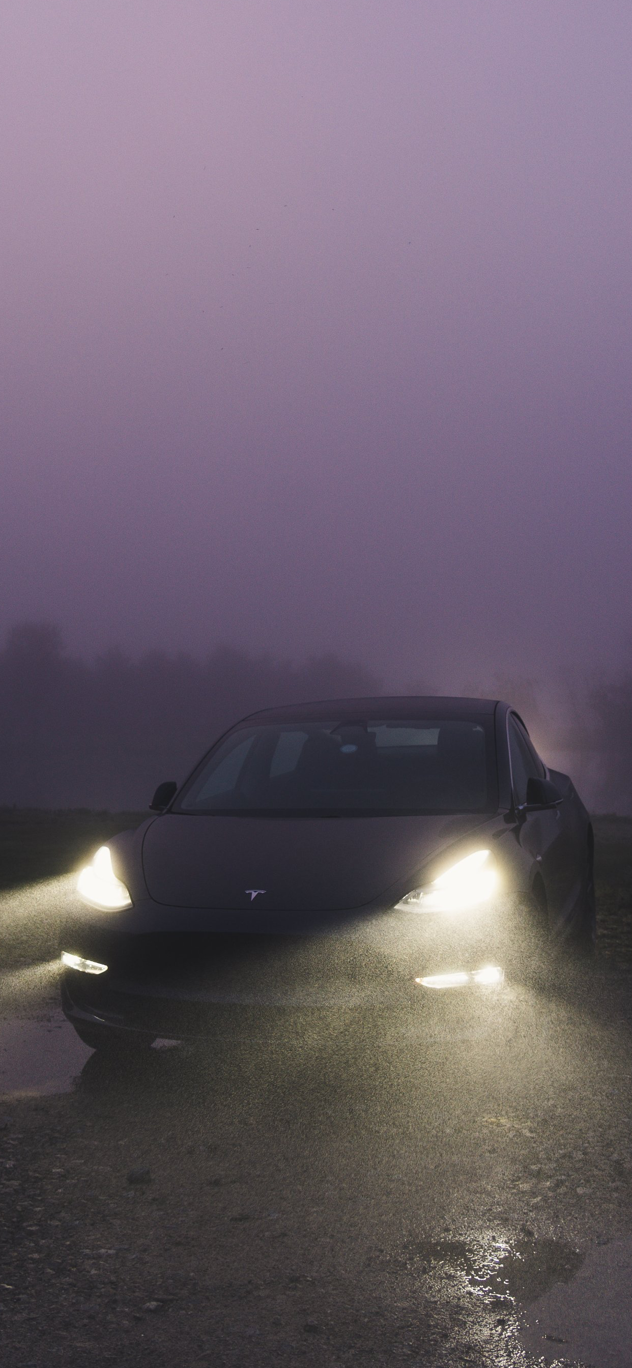 Tesla Model 3, Tesla, Reflexion, König, Wasser. Wallpaper in 1242x2688 Resolution