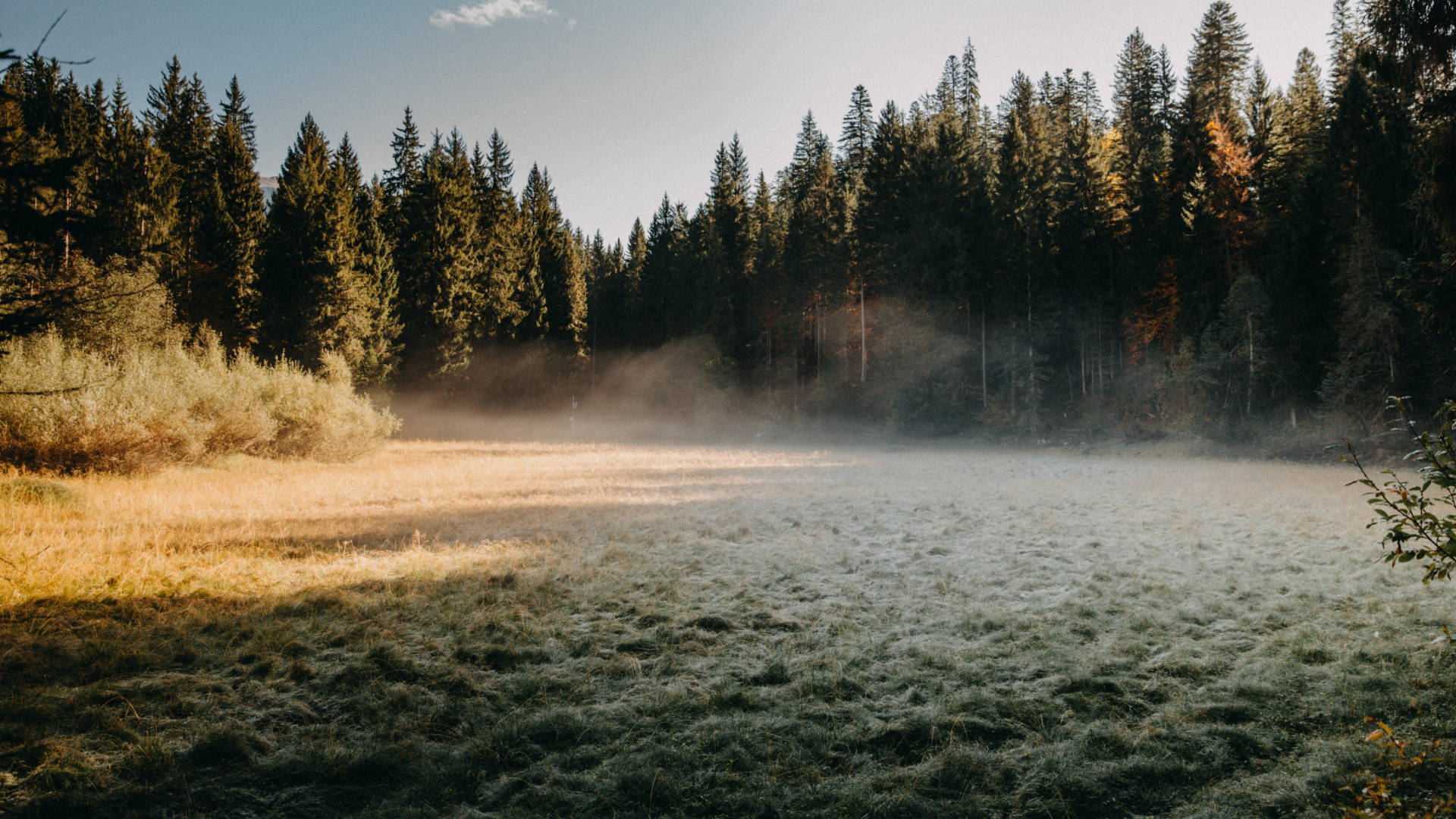 Mt. Hood National Forest, Wald, Forstwirtschaft, Kunst, Cloud. Wallpaper in 1920x1080 Resolution