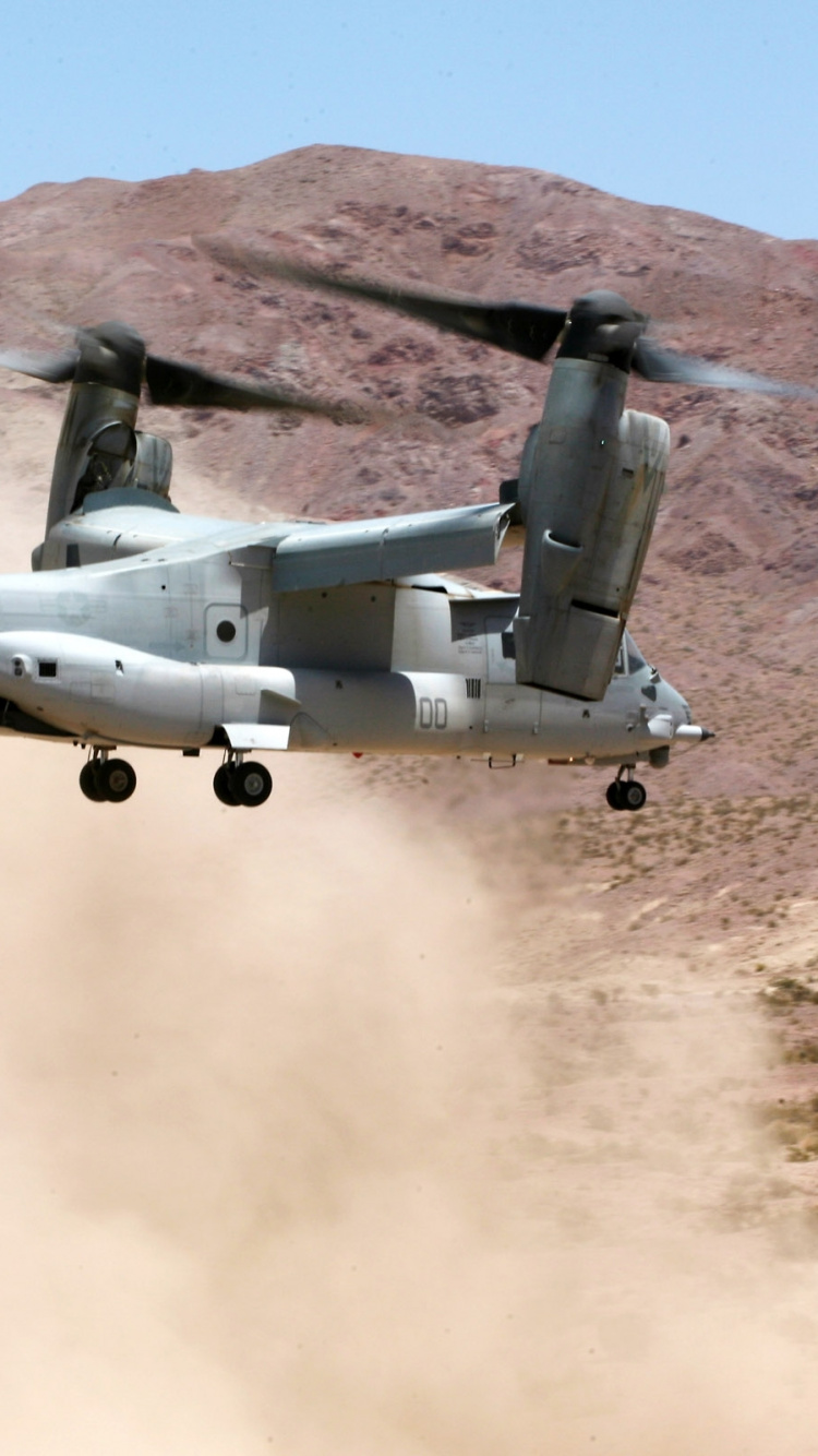 Grauer Kampfjet, Der Tagsüber Über Braunen Berg Fliegt. Wallpaper in 750x1334 Resolution