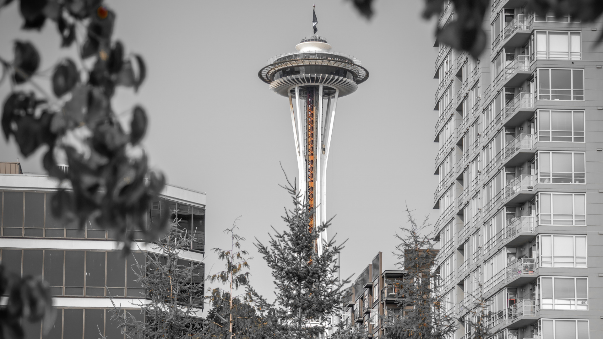 白色, 建筑, 冬天, 住宅区, 街区 壁纸 1920x1080 允许