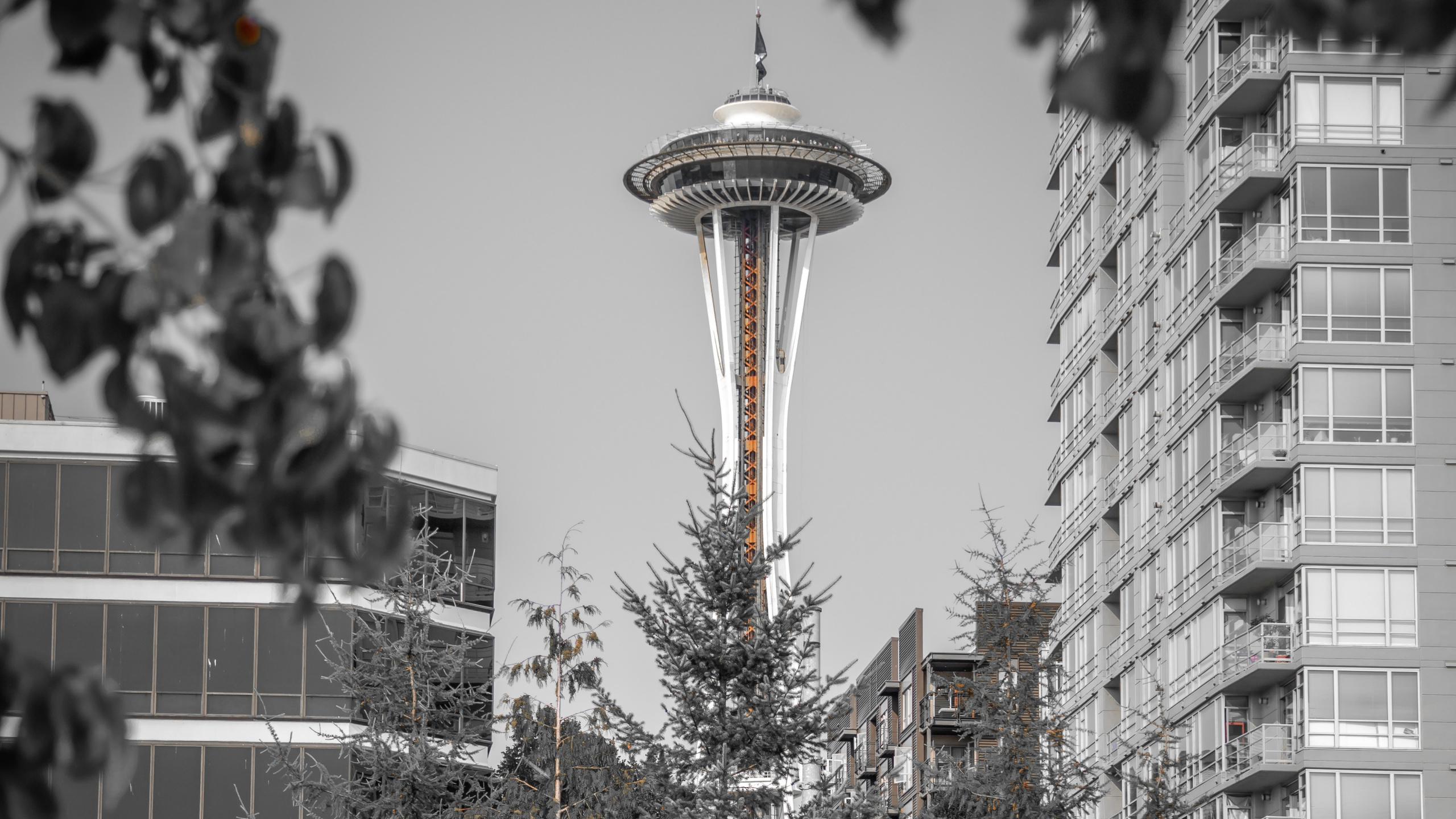 白色, 建筑, 冬天, 住宅区, 街区 壁纸 2560x1440 允许