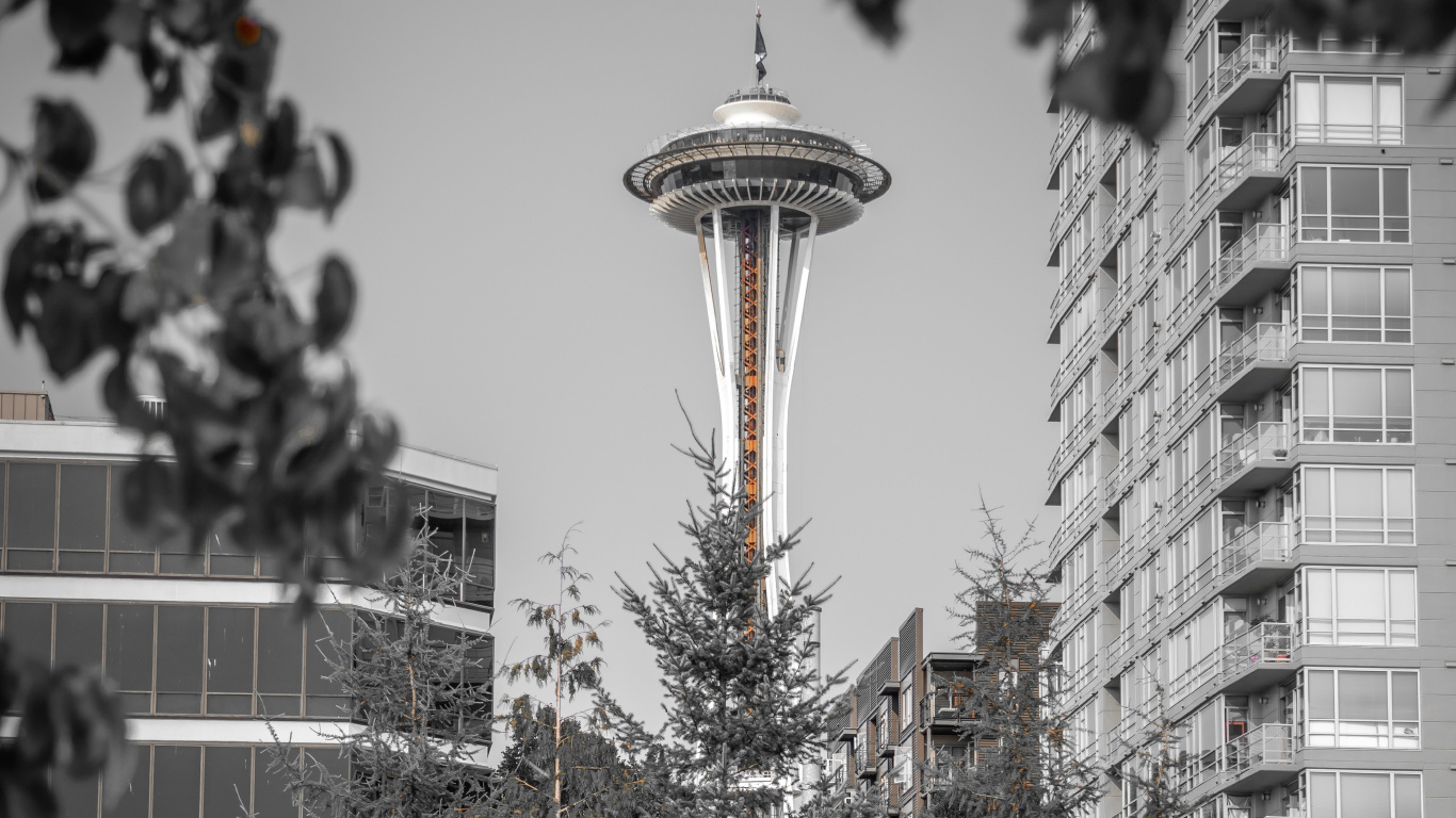 Arbre Vert Avec Des Guirlandes Lumineuses Jaunes Près D'un Immeuble de Grande Hauteur Blanc Pendant la Journée. Wallpaper in 1366x768 Resolution