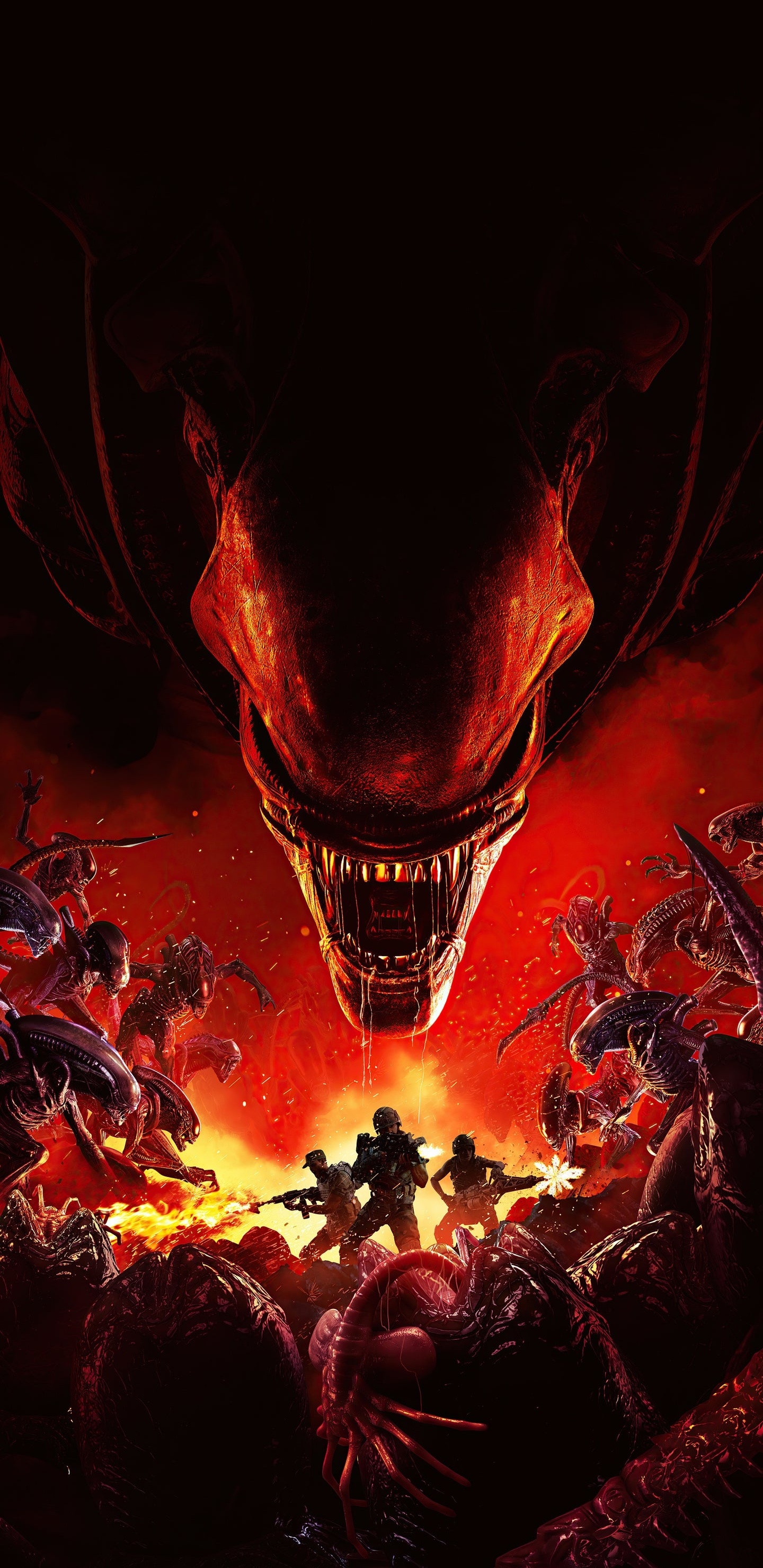 Aliens Fireteam Elite Poster, Aliens Fireteam Elite, Außerirdische Isolation, Aliens Colonial Marines, Third-person-shooter. Wallpaper in 1440x2960 Resolution