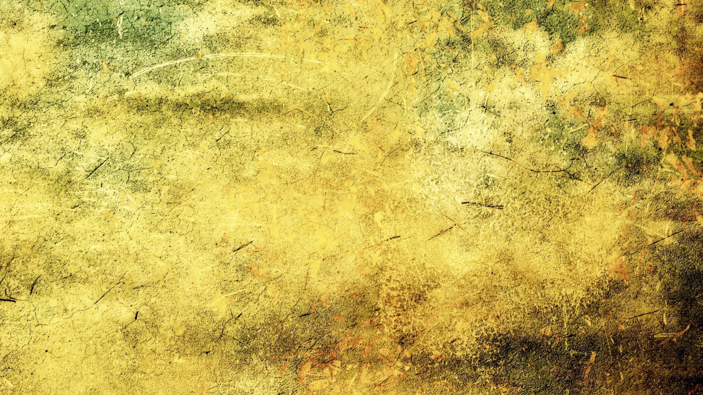 Herbe Verte Sur Sol Brun. Wallpaper in 1366x768 Resolution