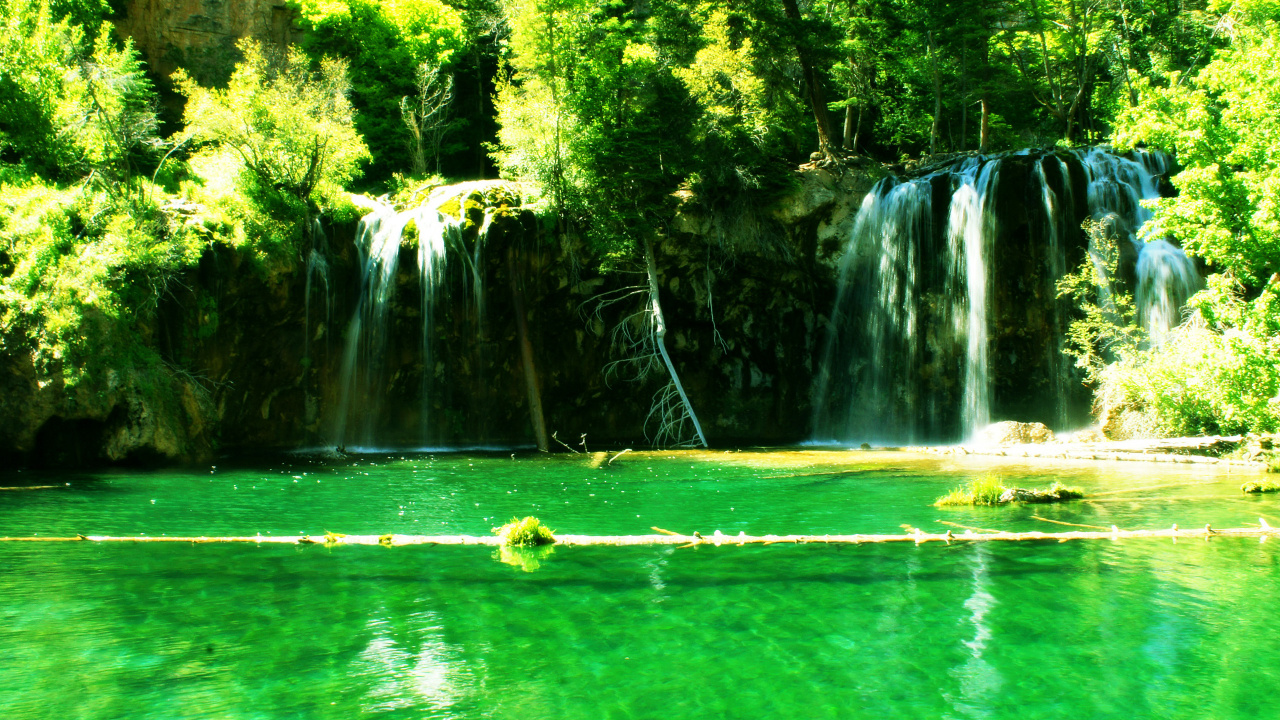 Árboles Verdes Cerca de Cascadas Durante el Día. Wallpaper in 1280x720 Resolution