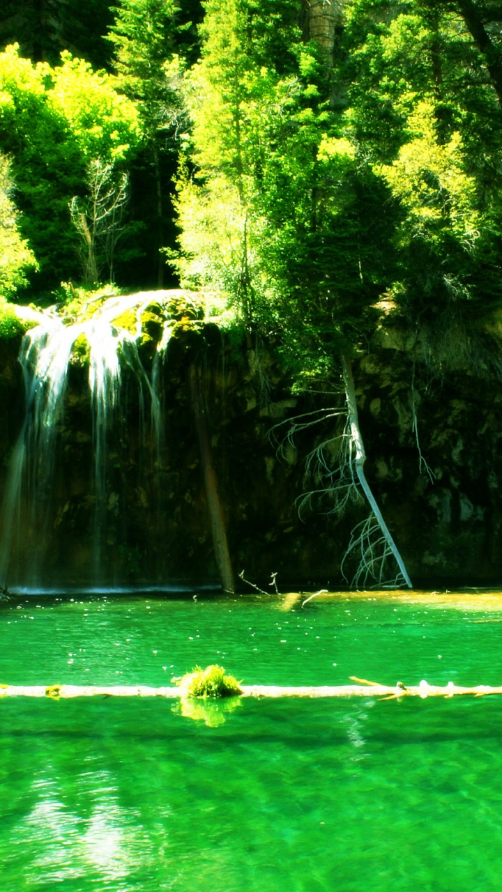 Árboles Verdes Cerca de Cascadas Durante el Día. Wallpaper in 720x1280 Resolution