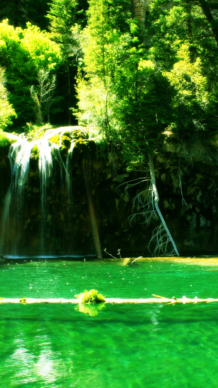 Green Trees Near Waterfalls During Daytime. Wallpaper in 750x1334 Resolution