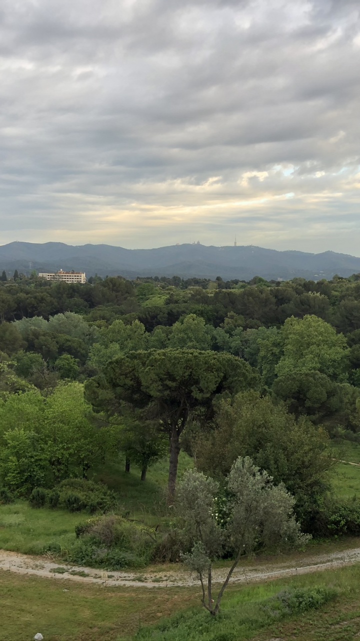 Bioma, Arbustos, la Vegetación, la Comunidad Vegetal, Terreno. Wallpaper in 720x1280 Resolution