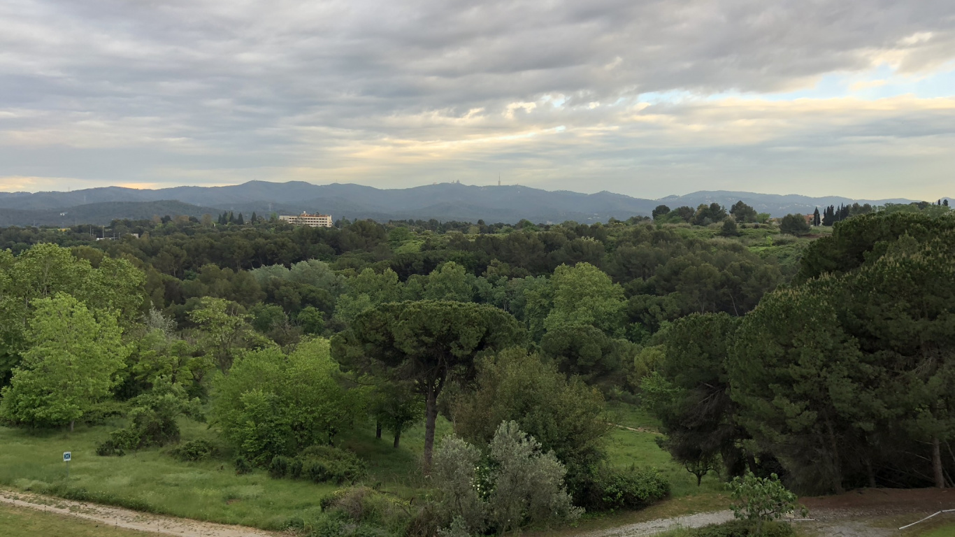 Biome, Shrubland, Vegetation, Cloud, Plant Community. Wallpaper in 1366x768 Resolution