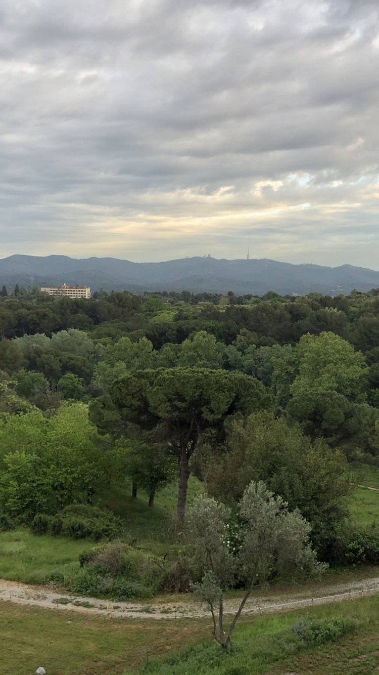 Biome, Shrubland, Vegetation, Cloud, Plant Community. Wallpaper in 750x1334 Resolution