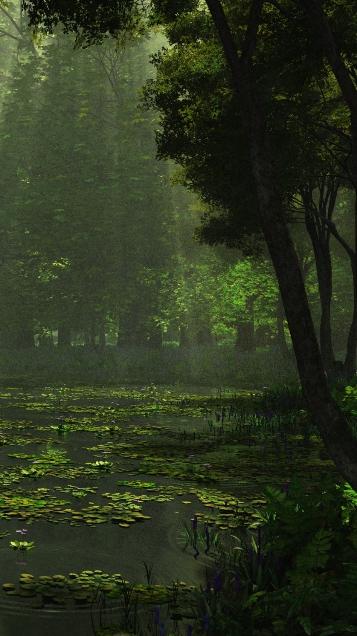 Arbres Verts et Plantes Sur L'eau. Wallpaper in 720x1280 Resolution