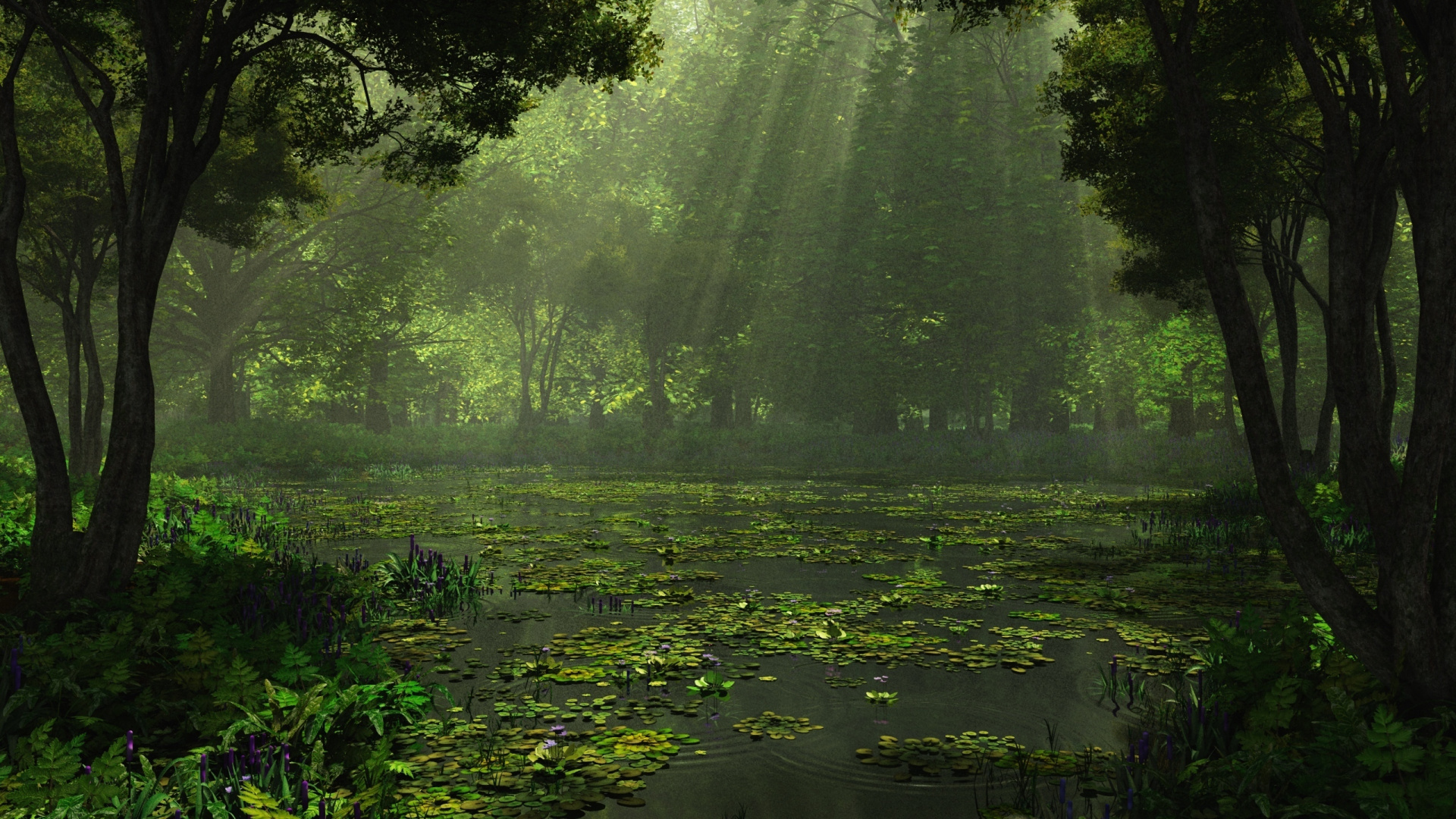 Green Trees and Plants on Water. Wallpaper in 1920x1080 Resolution