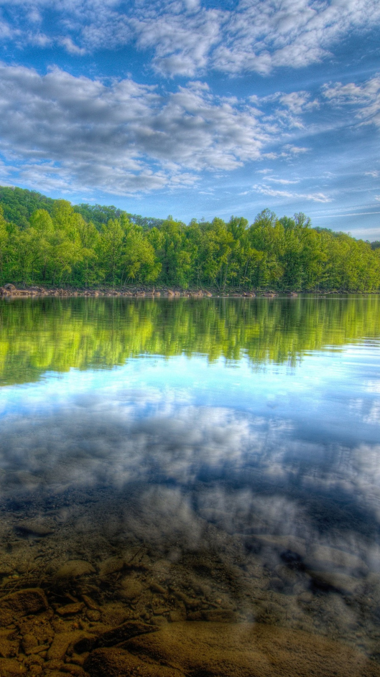 Arbres Verts au Bord du Lac Sous Ciel Bleu Pendant la Journée. Wallpaper in 750x1334 Resolution