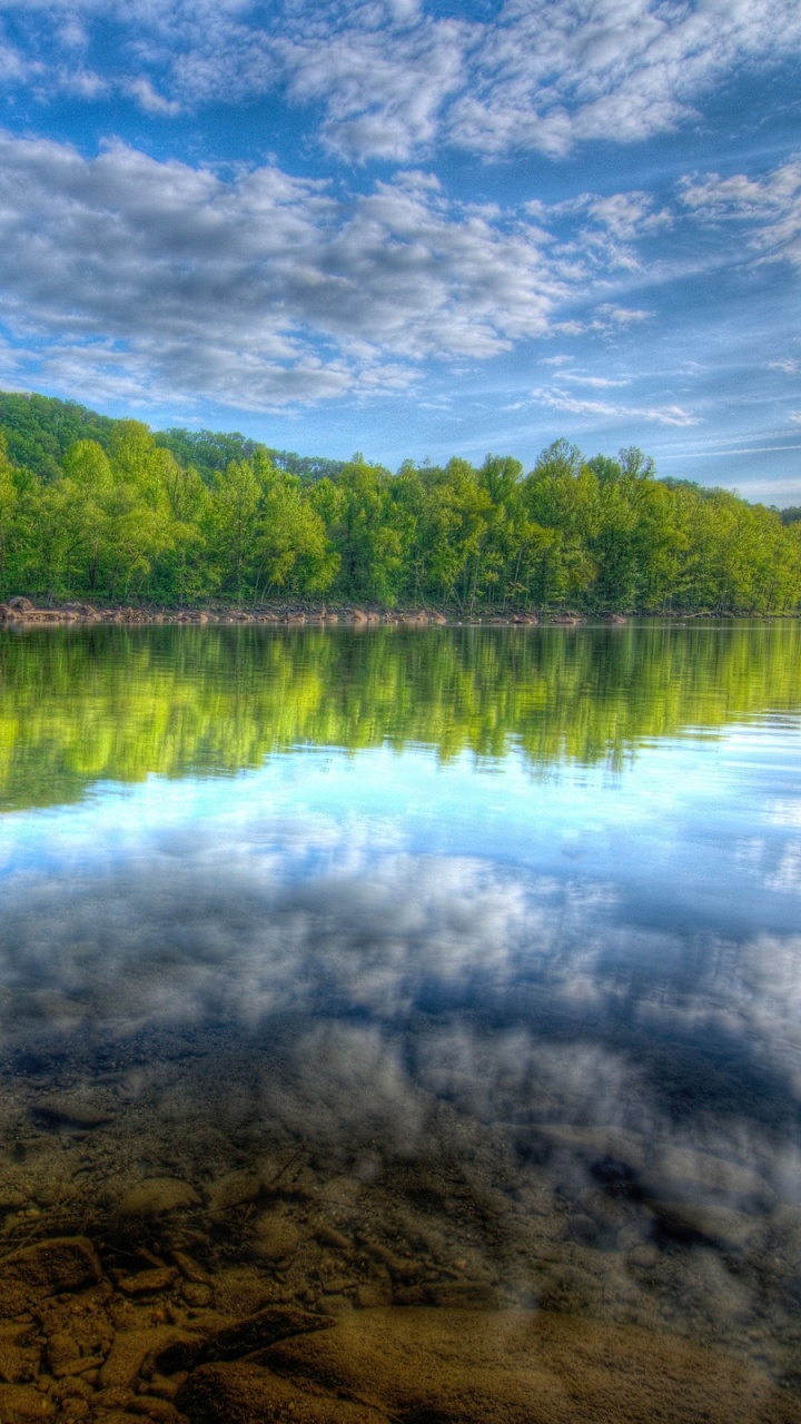 Grüne Bäume am See Unter Blauem Himmel Tagsüber. Wallpaper in 720x1280 Resolution