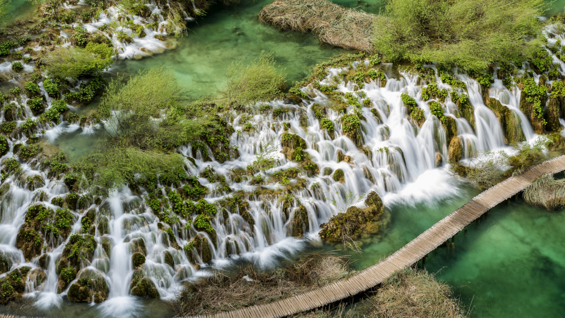 El Agua Cae Sobre el Campo de Hierba Verde Durante el Día. Wallpaper in 1920x1080 Resolution
